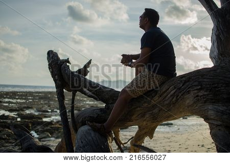 Man Sitting on a Fallen Tree or Woods on a Beach