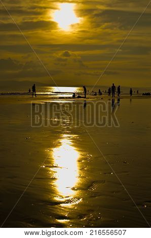 Golden Orange Sunset
