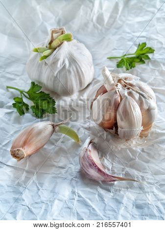 Fresh garlic and garlic with green sprouted sprouts and cloves of garlic leaves of green parsley lie on a white paper background uncooked seasoning for cooking food