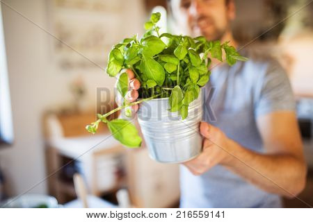 Unrecognizable young man cooking. A man holding a metal plant pot with herbs.