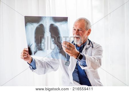 Senior doctor looking at chest x-ray in his office. Male doctor with smartwatch examining an x-ray.