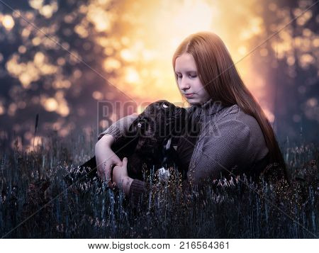 Beautiful girl hugging a dog. Grass beautiful background sunset. The girl long redhead hair