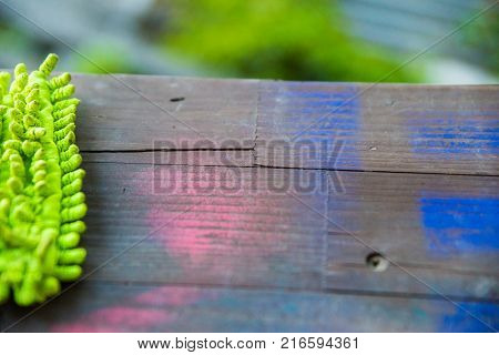 Closeup image new bright fluffy cleaning mop lying on wooden surface