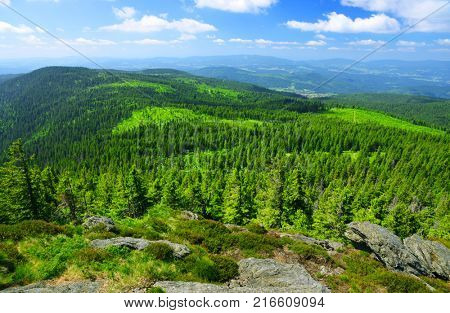 Summer landscape in National park Bayerische Wald, view from the mountain Grosser Arber, Germany.