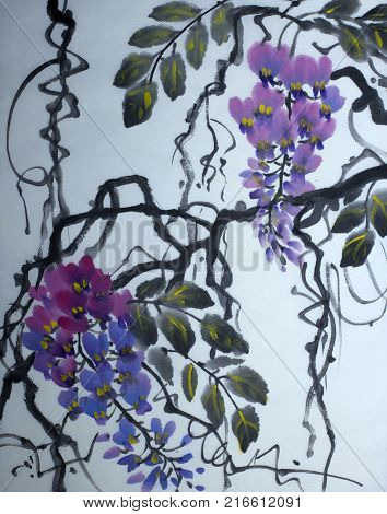 Tender flowering wisteria painted in Chinese style