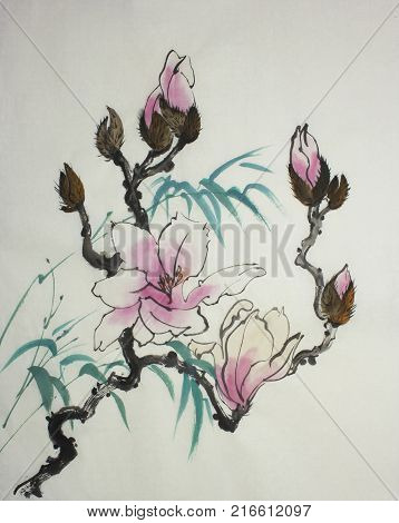 bright Pink magnolia flower and bamboo branch