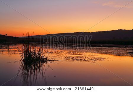 Penrith Wetlands