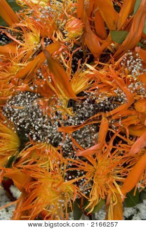 Bloemen