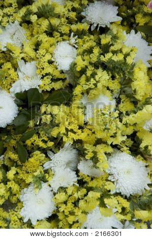 Bloemen
