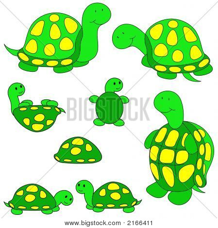 Skildpadde multimedieklip.