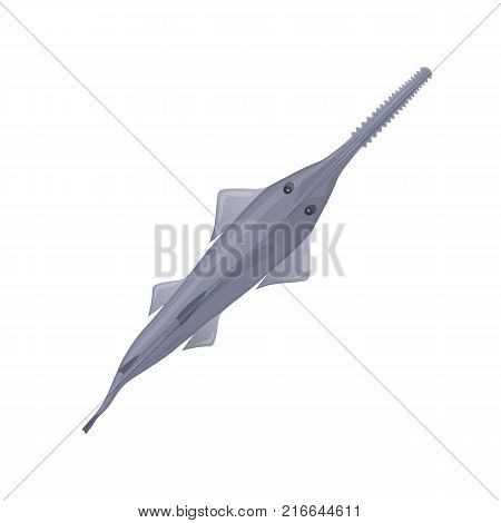 Fish saw sea animal. Deep ocean fish and shellfish, eating, delicious menu, market fish to around the world. Vector flat illustration.