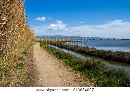 QUARTU S..E: Walk in the Molentargius Park - Sardinia