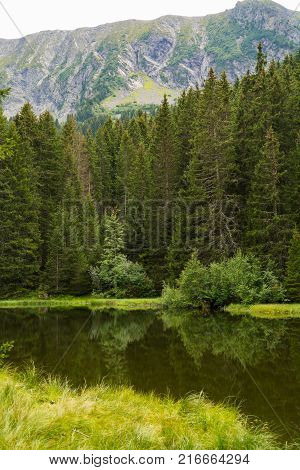 Small Forest Lake In Alpen Mountains, Place For Relaxation And Tranquil Vacation