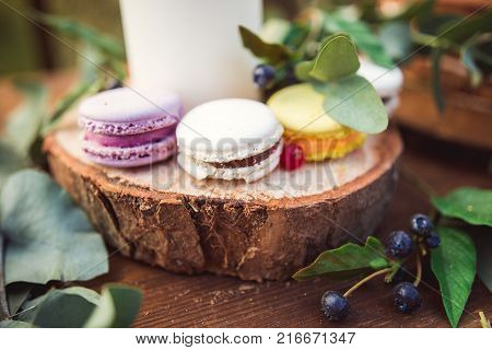 Colorful Macaroons On A Round Wood Log