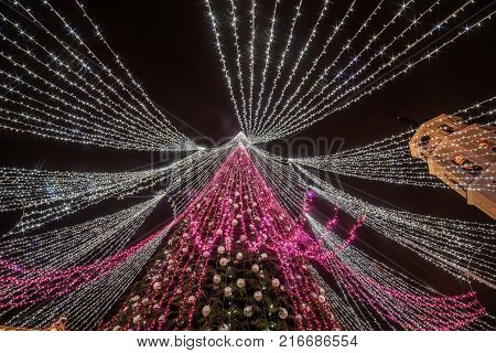 Vilnius, Lithuania: Christmas tree in Cathedral Square at night