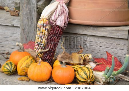 Kurpitsaa ja Gourds