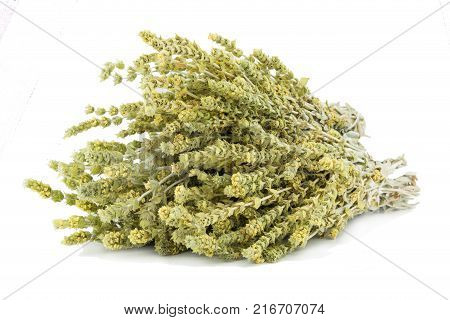 Fresh green Basil herb leaves isolated on white background. Basilicum plant concept. Copy space.