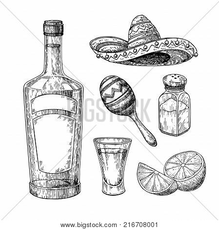 Tequila bottle, salt shaker and shot glass with lime. Mexican alcohol drink vector drawing. Sketch of shot glass cocktail with citrus fruit slice. Engraved illustration for label, icon, bar or restaurant menu.