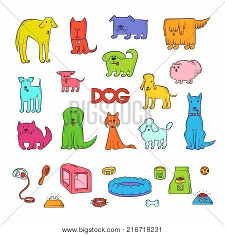 Vector bright set of different cartoon dogs breeds. Items for caring for pet and feeding. Funny caricature animals characters. Contour isolated colorful sketch illustration. The inscription and heart