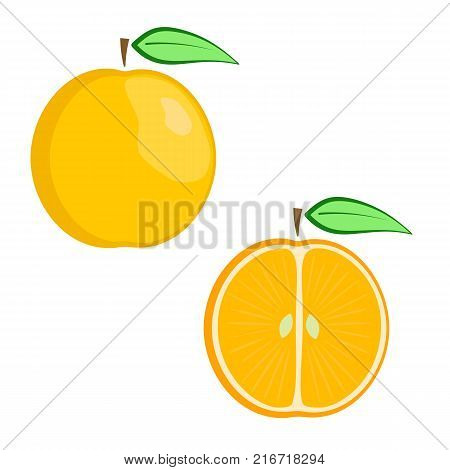 Flat vector ripe orange set - full fruit and split in a half. Cute colorful summer juicy fruit for advertisement juice or baby food package children book design
