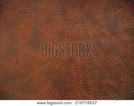 Leather surface backgrounds in many colours and lights