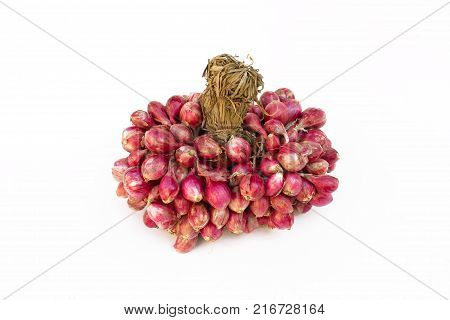 fresh shallots or onion, herb and vegetable, food ingredient