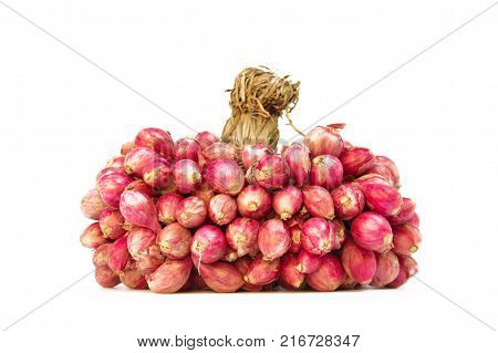 fresh shallots or onion, herb and vegetable, food ingredient