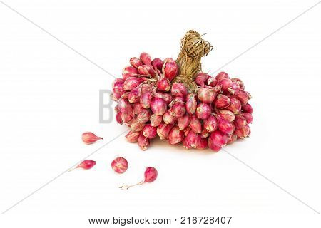fresh shallots or onion, herb and vegetable, food ingredient