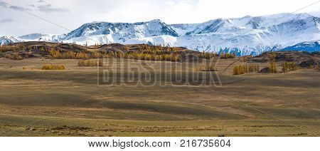 Panorama of the Kurai steppe in the autumn against the backdrop of towering snow peaks. Russia, Siberia, the Republic of Altai.