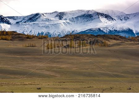 Panorama of the Kurai steppe in the autumn against the backdrop of towering snow peaks. Russia, Siberia, the Republic of Altai.