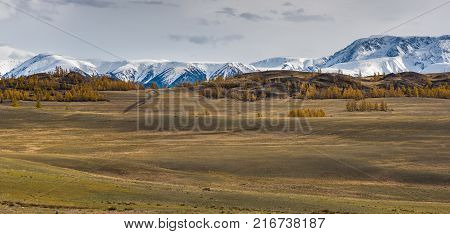 Panorama of the Kurai steppe in the autumn against the backdrop of towering snow peaks. Russia, Siberia, the Republic of Altai.