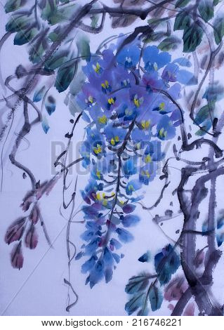 Tender flowering wisteria painted in Chinese style