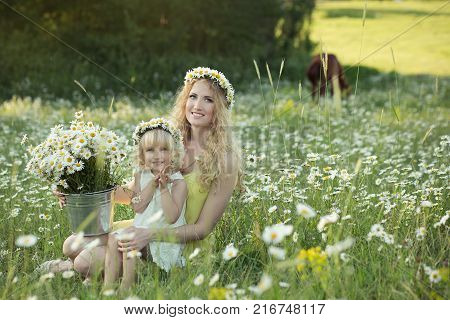Beautiful Lady With Cute Daughter On Camomile Field Full Of Flowers