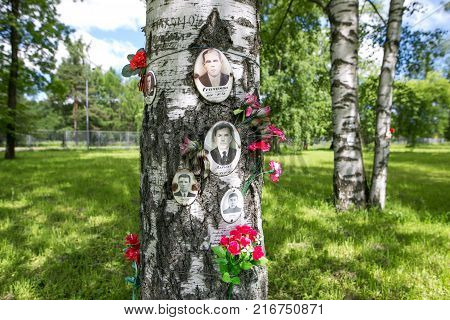 Petersburg, Russia - July 2, 2017: Piskaryovskoye Memorial Cemetery. Place Of Mass Graves Of Victims