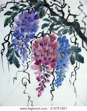 Tender flowering wisteria painted in Chinese style