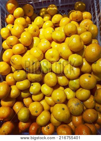 Citrus fruit, tangerine background. Fresh fruit at fruit market. Freshness and lively feeling concept.