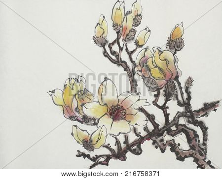 Bright branch of blossoming magnolia painted in Chinese style