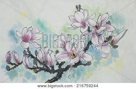 Pink branch of blossoming magnolia painted in Chinese style
