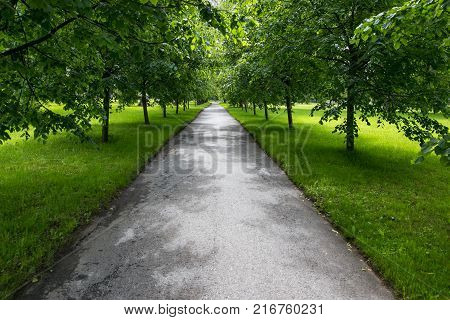 Petersburg, Russia - July 2, 2017: Piskaryovskoye Memorial Cemetery. Place Of Mass Graves Of Victims