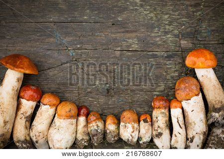 Autumn Mushrooms on a Wooden Background. Copy Space