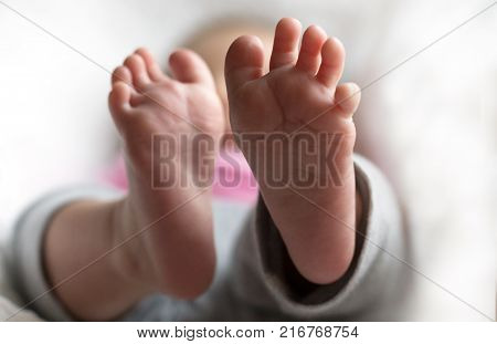 Children's Legs on a Light Background. Baby concept