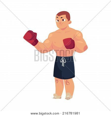 vector cartoon muscular strong handsome man bare torso and chest in boxing stand with red box gloves. Isolated illustration on a white background.