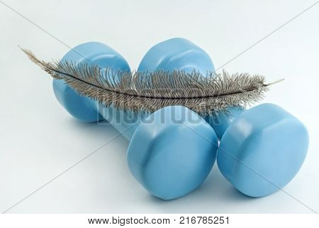 pair of light blue dumbbells for fitness training and lying over them an ostrich feather on a white background