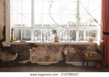 Abandoned room with rough walls big window, green flower in pot