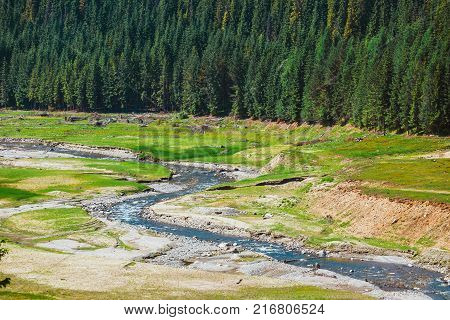 Vidra Lake is located in the Parang Mountains Romania