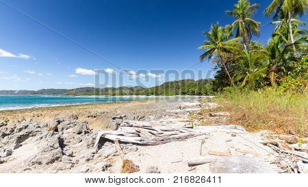 Samara beach Costa Rica palms view with sun