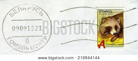 GOMEL, BELARUS, 30 NOVEMBER 2017, Stamp printed in Belarus shows image of the Nyclereutes procyonoides, circa 2014. 
