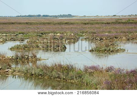 Landscape In The Venetian Lagoon Near Venice Called Mesole In It