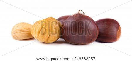 Fresh chestnuts isolated on white background. Hippocastanum isolated. Chestnut with clipping path. Macro.