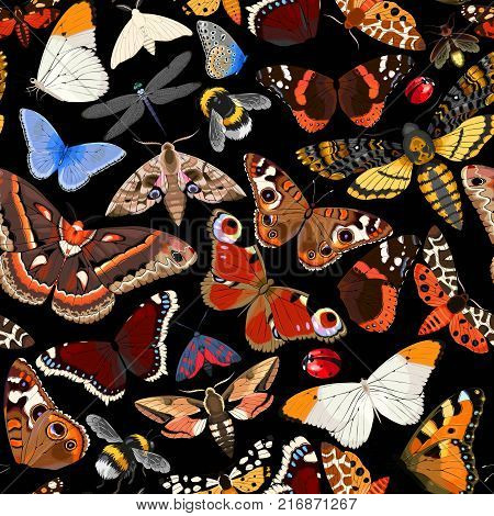 High detailed butterflies and other insects vector seamless background